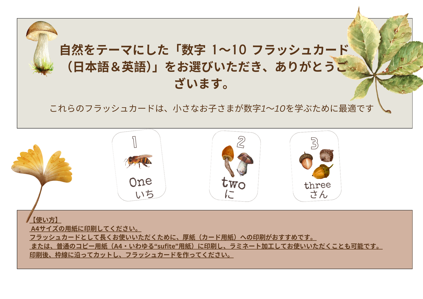 数字カード 1〜10|英語と日本語で学べる知育フラッシュカード(PDFダウンロード)