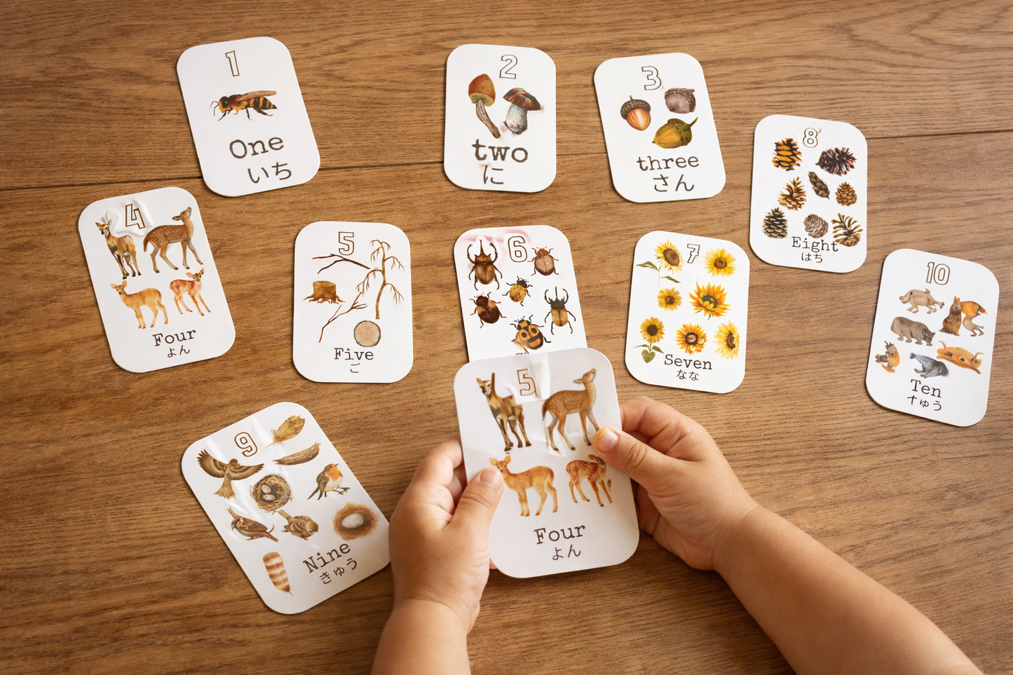 数字カード 1〜10｜英語と日本語で学べる知育フラッシュカード（PDFダウンロード）